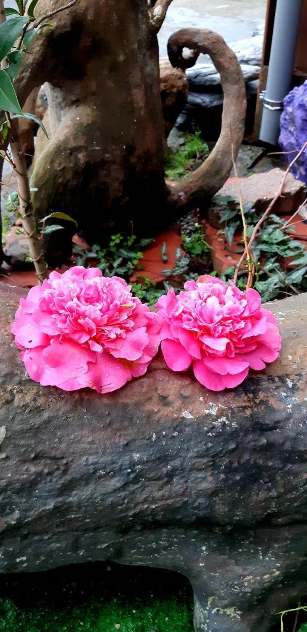 Lushan Xiangting Tea Homestay เหรินอ้าย ภายนอก รูปภาพ